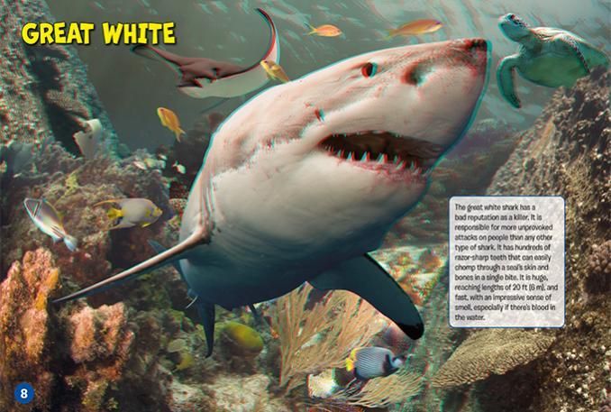 Sharks