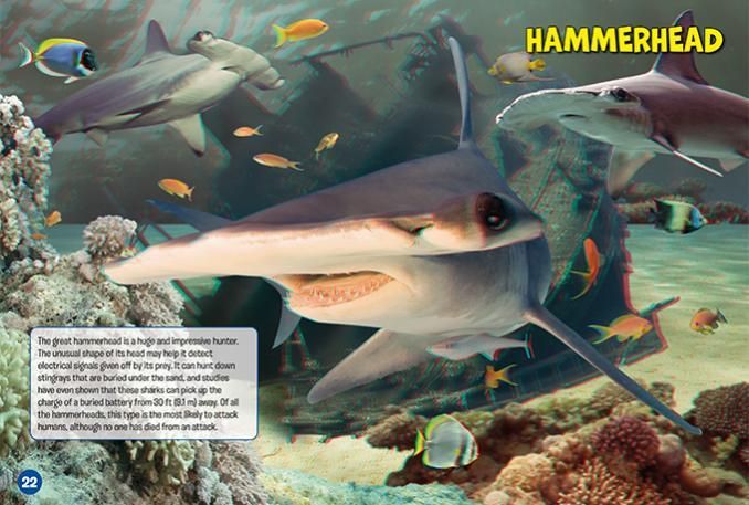 Sharks