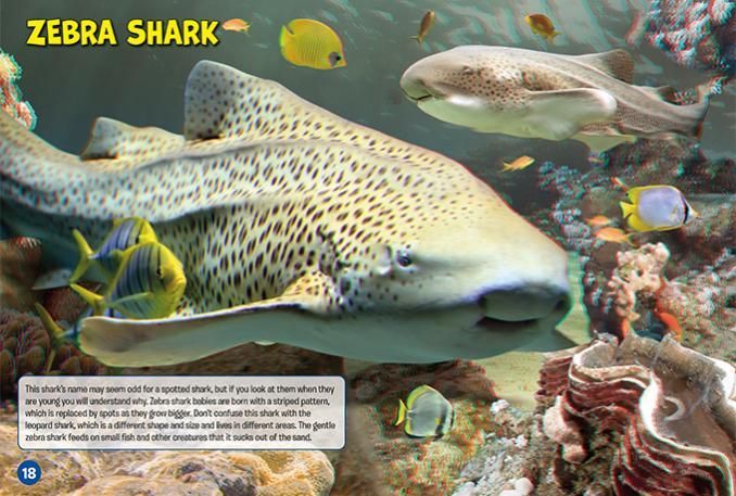 Sharks