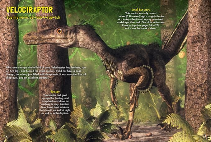 Dinosaurs and other prehistoric beasts are stripped back to basic with each spread packed with facts about these fascinating creatures.