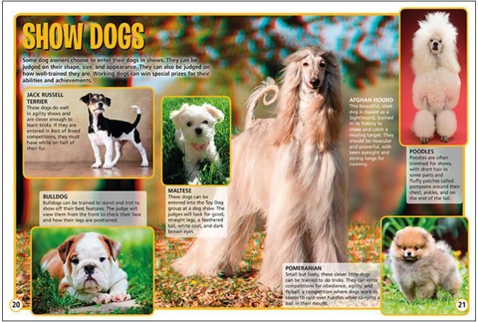 a book is open to a page about show dogs