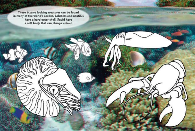 Undersea Colouring in 3D