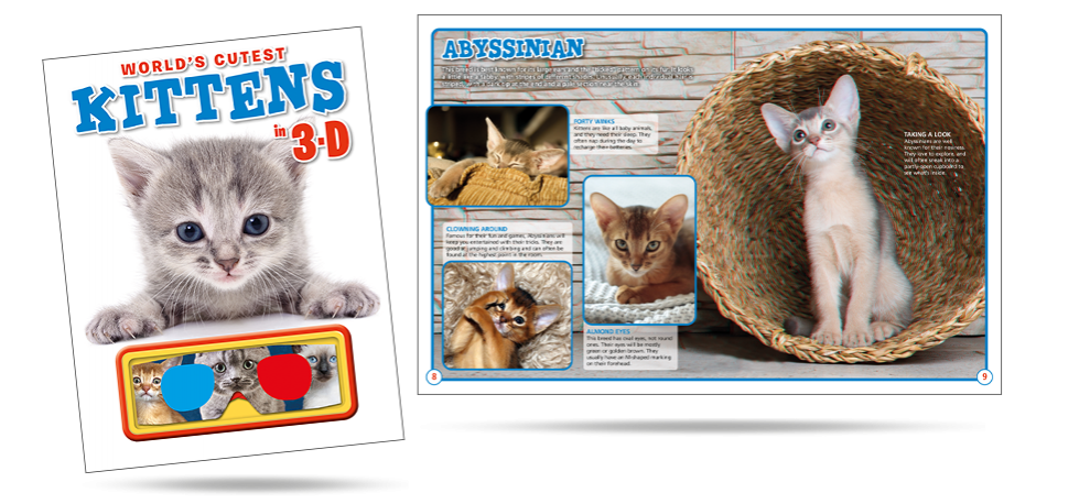 Kittens in 3D