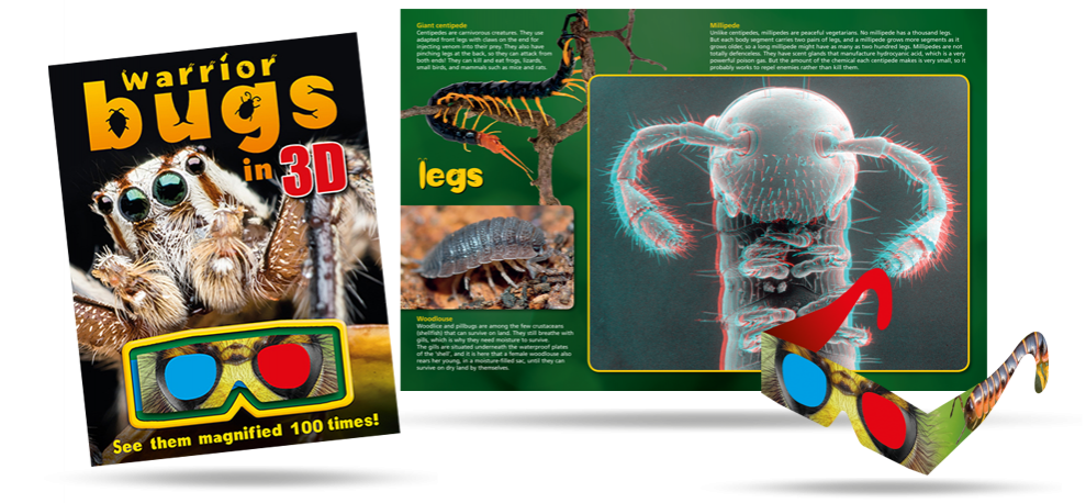 Warrior Bugs