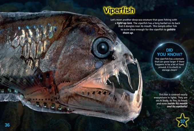 A fascinating guide to one of the wonders of the natural world.