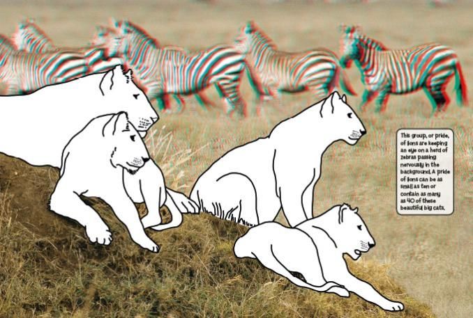 Wild Animals Colouring in 3D
