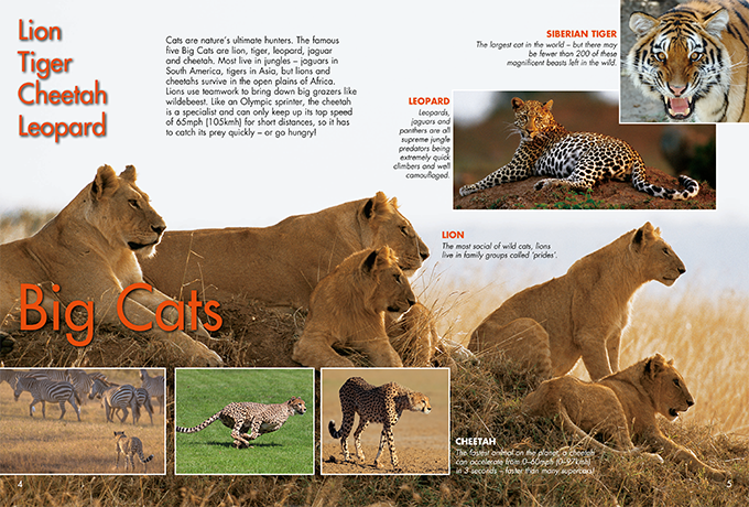 Animals