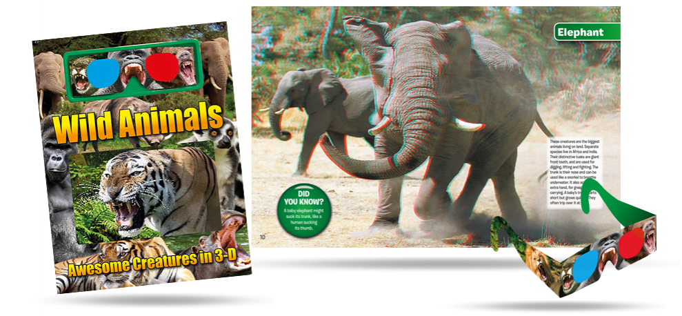 Wild Animals