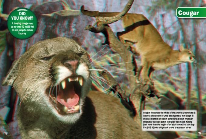 Wild Animals