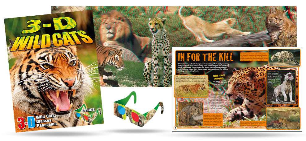 Wild Cats