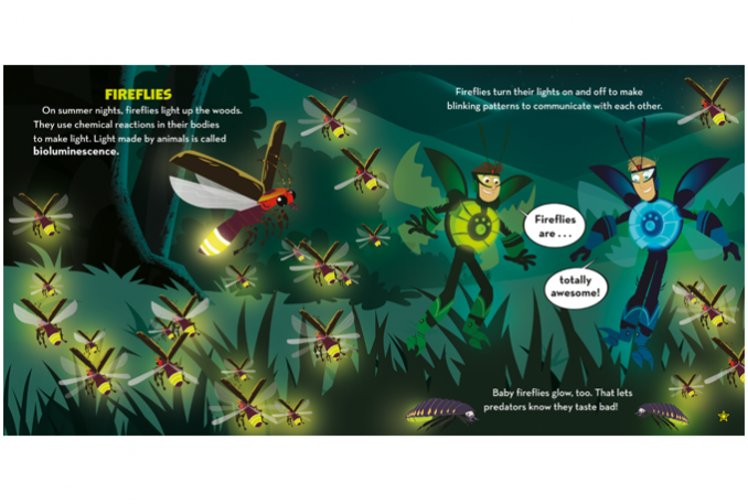 Wild Kratts Go Wild
