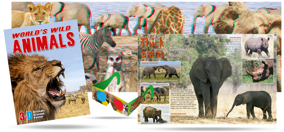 Animals