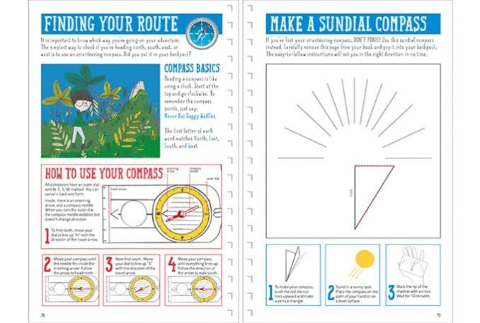 Jungle Explorer's Survival Guide