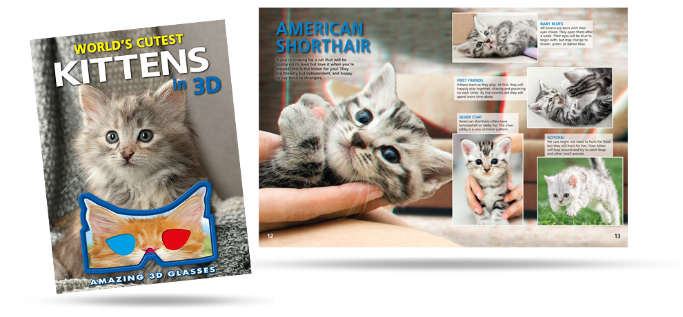 World's Cutest Kittens in 3D 2024