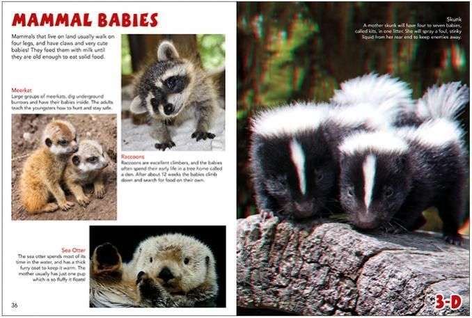 a book is open to a page about mammal babies.
