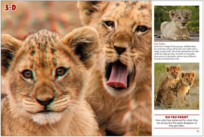two lion cubs are sitting next to each other with their tongues out .