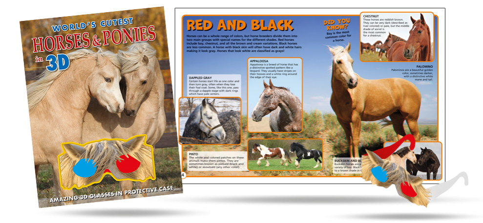 3D Horse & Ponies