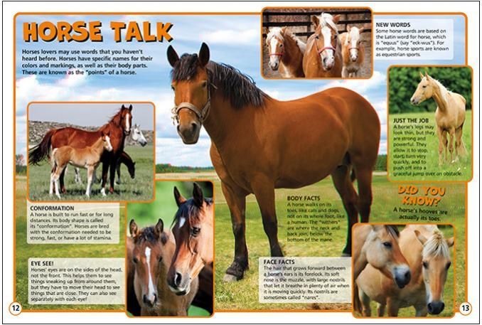 a book about horses is open to a page that says horse talk