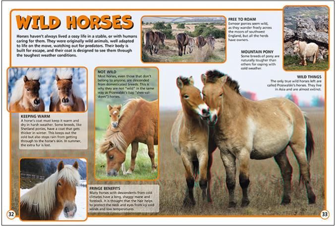 a book is open to a page about wild horses