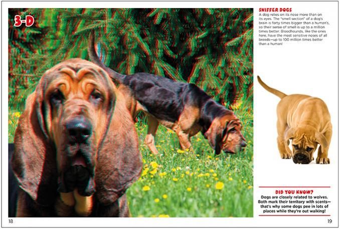 three dogs are standing next to each other in a field .