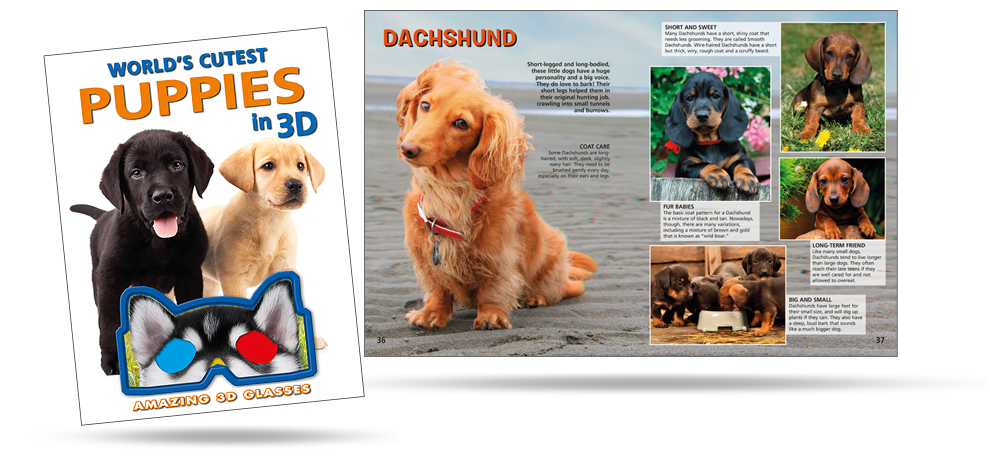 World's Cutest Puppies in 3D 2024