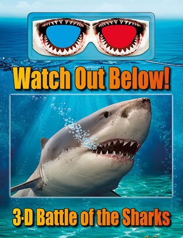 sharks