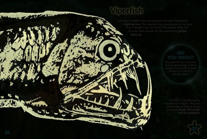 A fascinating guide to one of the wonders of the natural world.