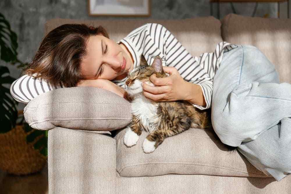 Woman in striped shirt pets a tabby cat on a couch; sunny room.