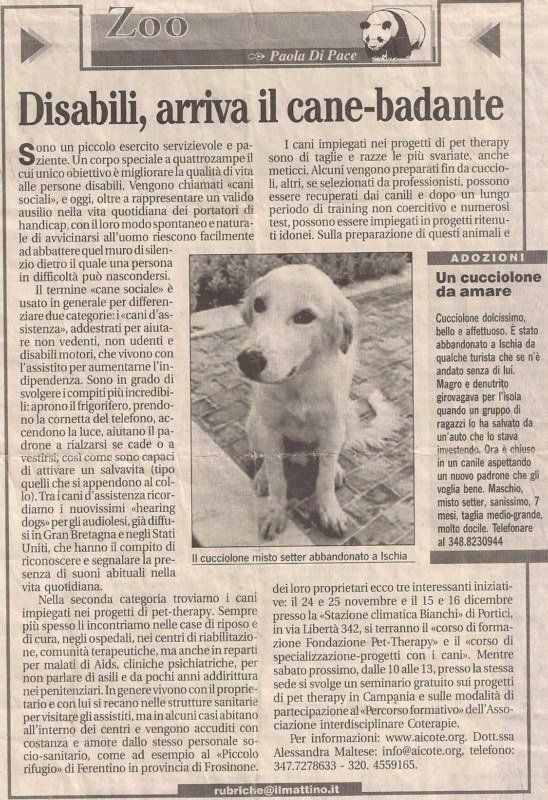 Articolo cane