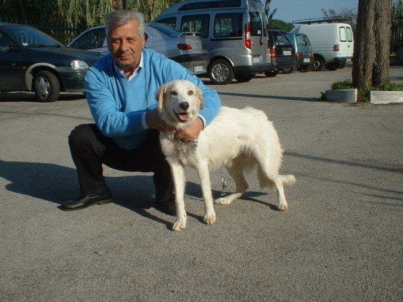 Mascotte