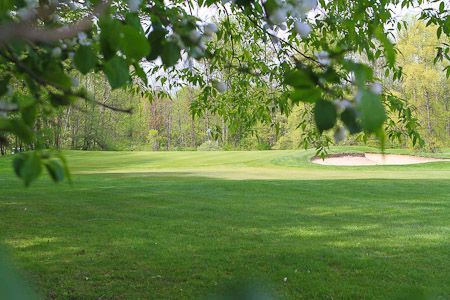 View of a green golf course with a sand bunker, framed by white-blossomed tree branches in the foreground.