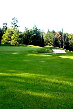 A sunny, green golf course fairway leading toward a putting green with a sand bunker on the right, surrounded by trees.