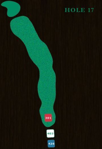 A golf course hole map for Hole 17, showing a fairway curving slightly left with tee markers at 301, 403, and 426 yards.