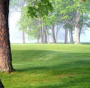 A misty, tranquil golf course with a prominent tree in the foreground and a line of trees in the background.