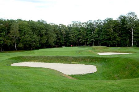 A golf course green surrounded by bunkers, with a dense forest line in the background under a blue sky.
