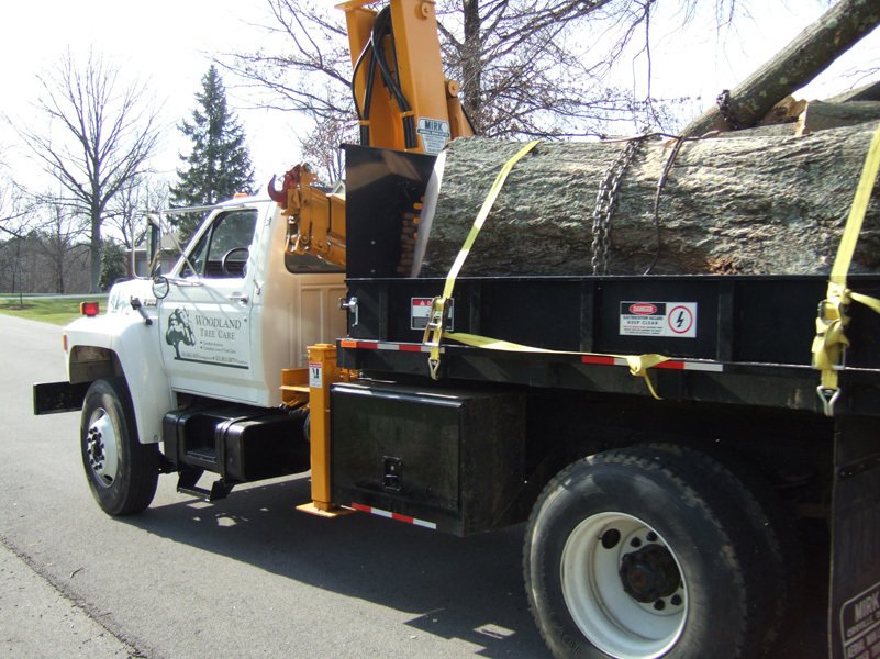 Tree Care Experts Frankfort, KY Woodland Tree Care