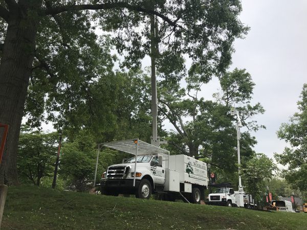 White Truck with Cranes – Frankfort, KY – Woodland Tree Care