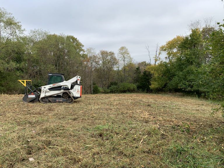 Stump Grinding Machine – Frankfort, KY – Woodland Tree Care