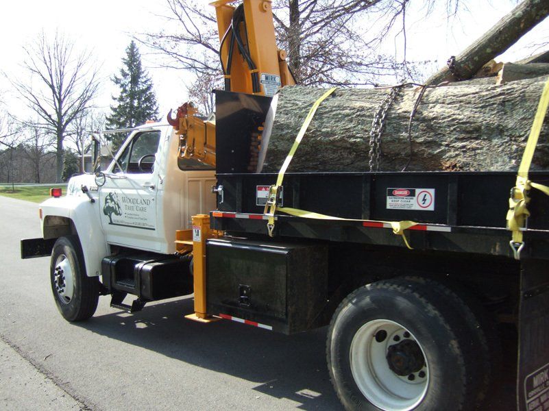 Wooden Stumps on The Truck – Frankfort, KY – Woodland Tree Care