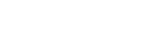 Woodland Tree Care Woodland Tree Care
