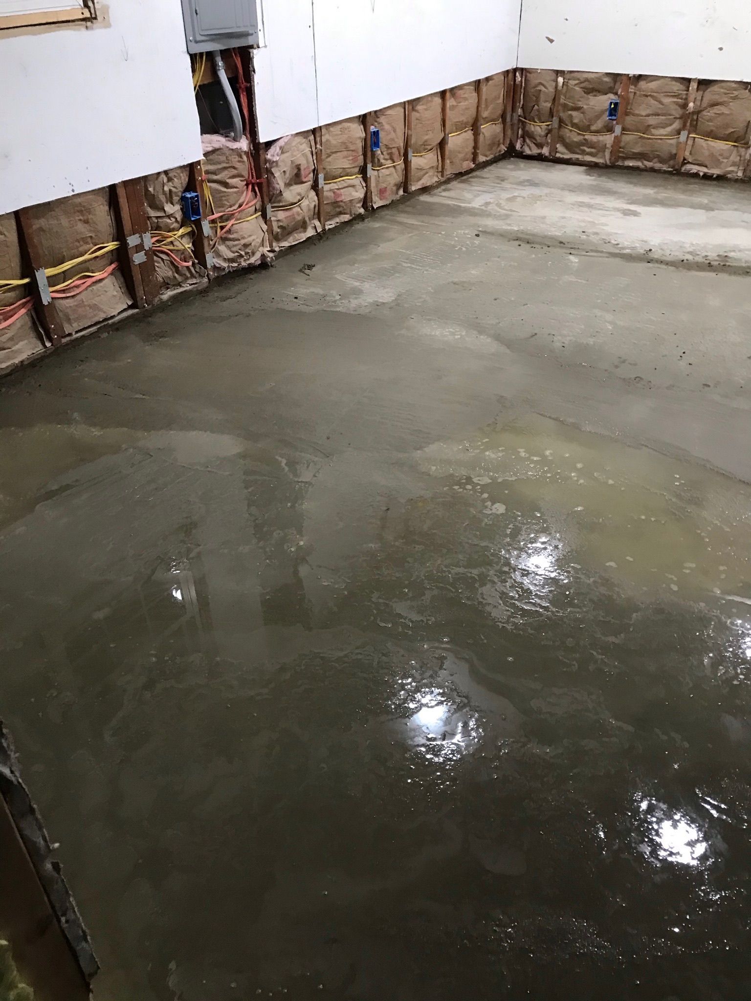 Wet concrete floor with exposed wall studs and insulation in a room.