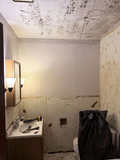 Mold-covered bathroom ceiling and walls with a sink, mirror, toilet, and a black trash bag.