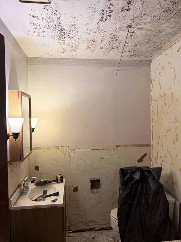 Mold-covered bathroom ceiling and walls with a sink, mirror, toilet, and a black trash bag.