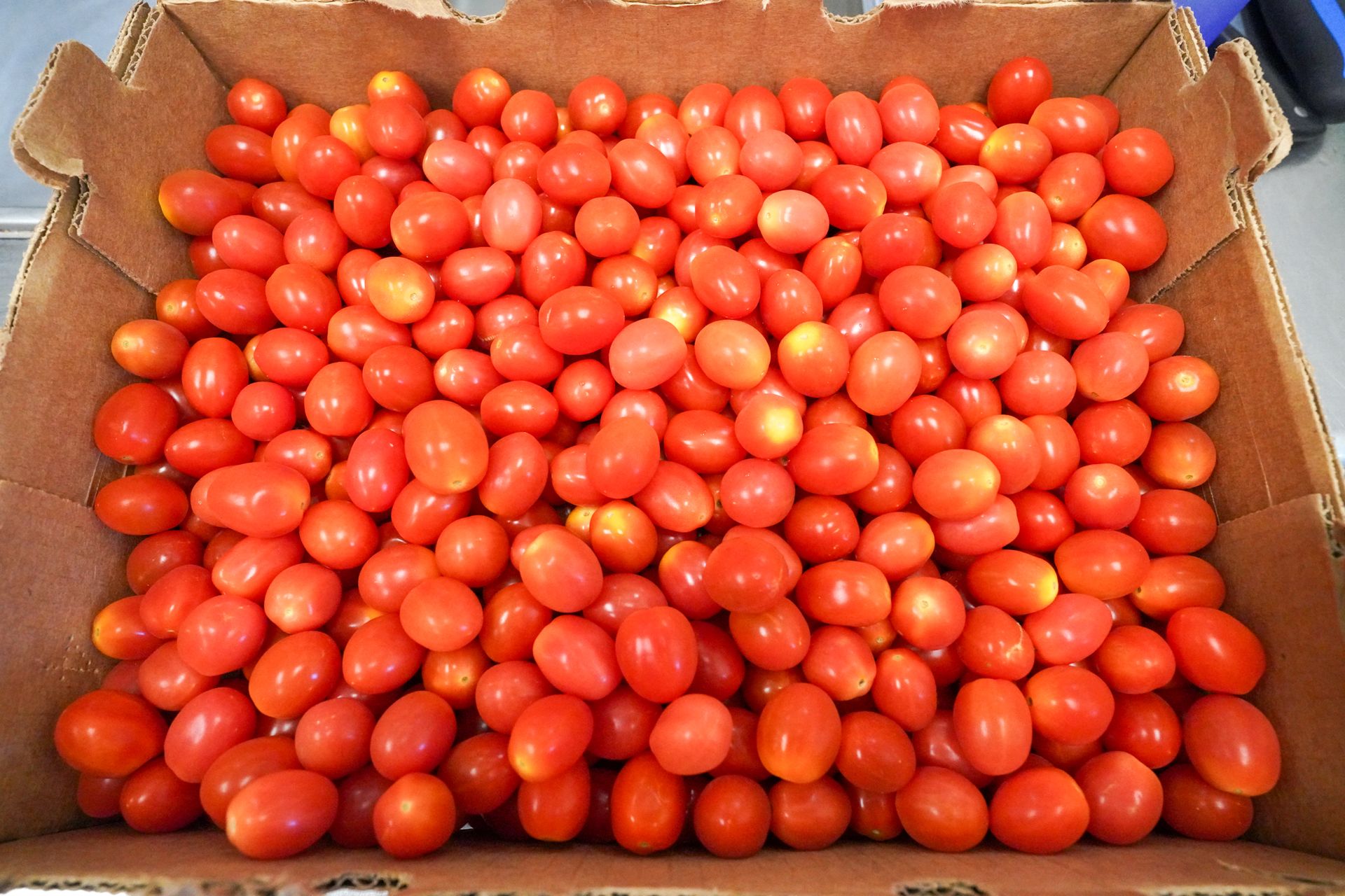 LISTEN Food Pantry located at 60 Hanover St, Lebanon, NH 03766