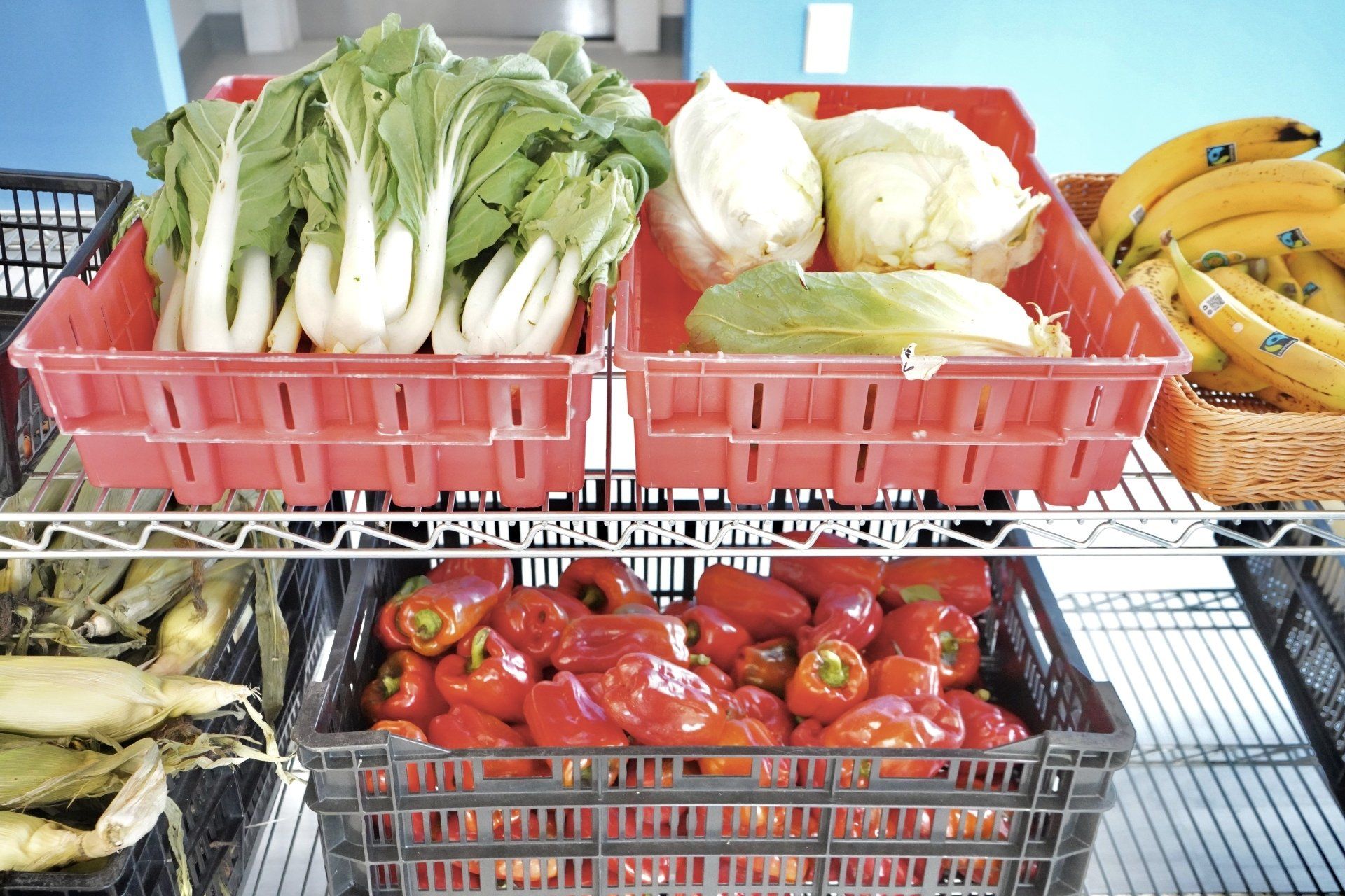 A bunch of fruits and vegetables are on a shelf
