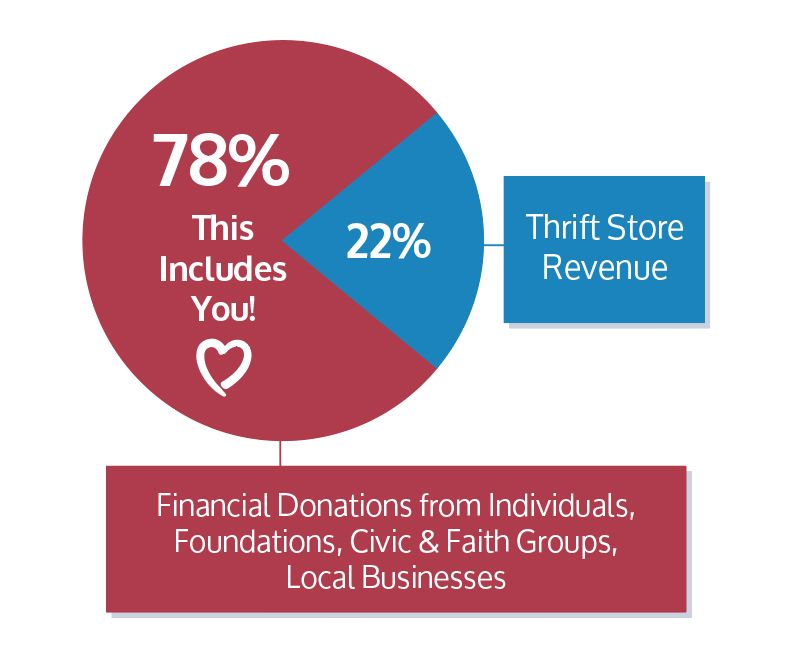 A pie chart showing the percentage of financial donations