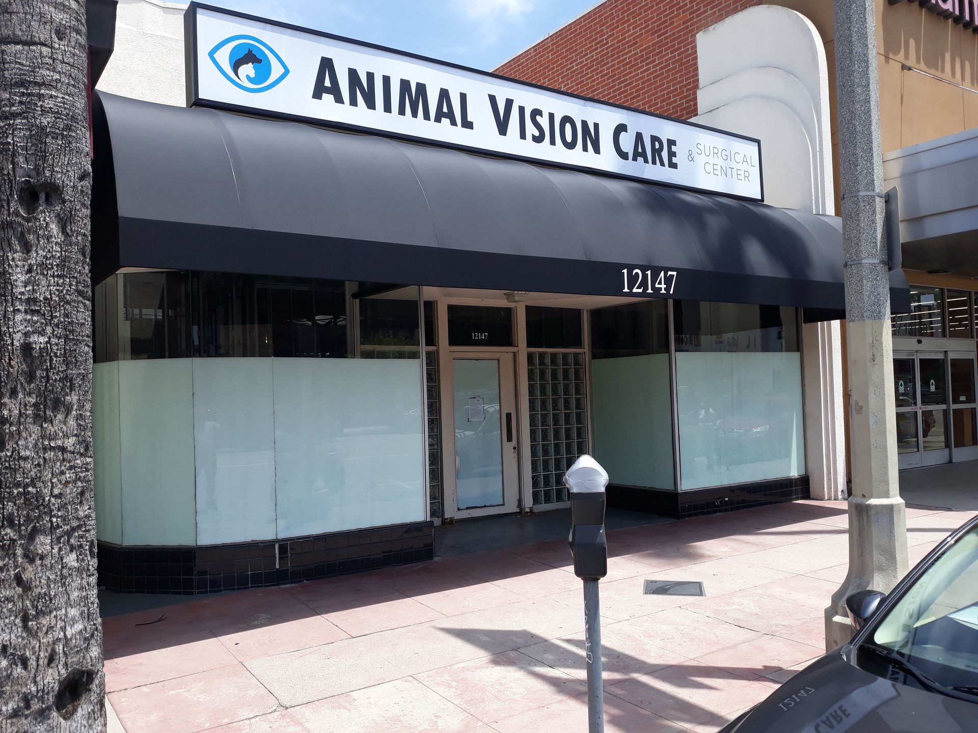 Storefront for Animal Vision Care with awning, glass windows, and a sidewalk parking meter in front