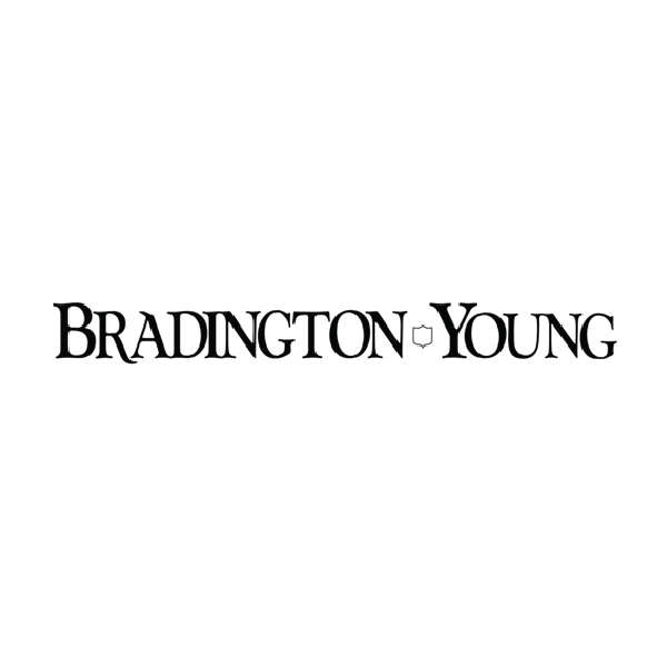 Bradington Young Furniture
