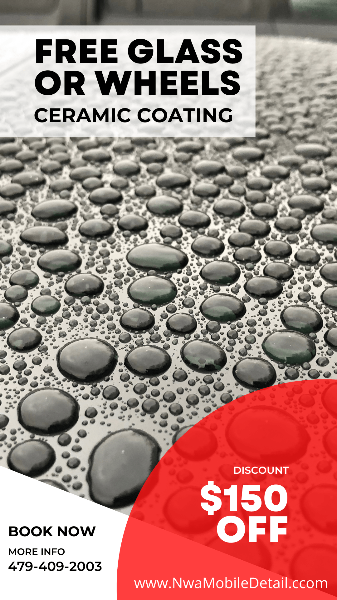 Nwa Mobile Detail Professional Detail Service Book Now