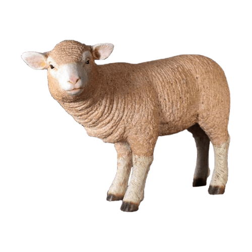 Life Size Models Home